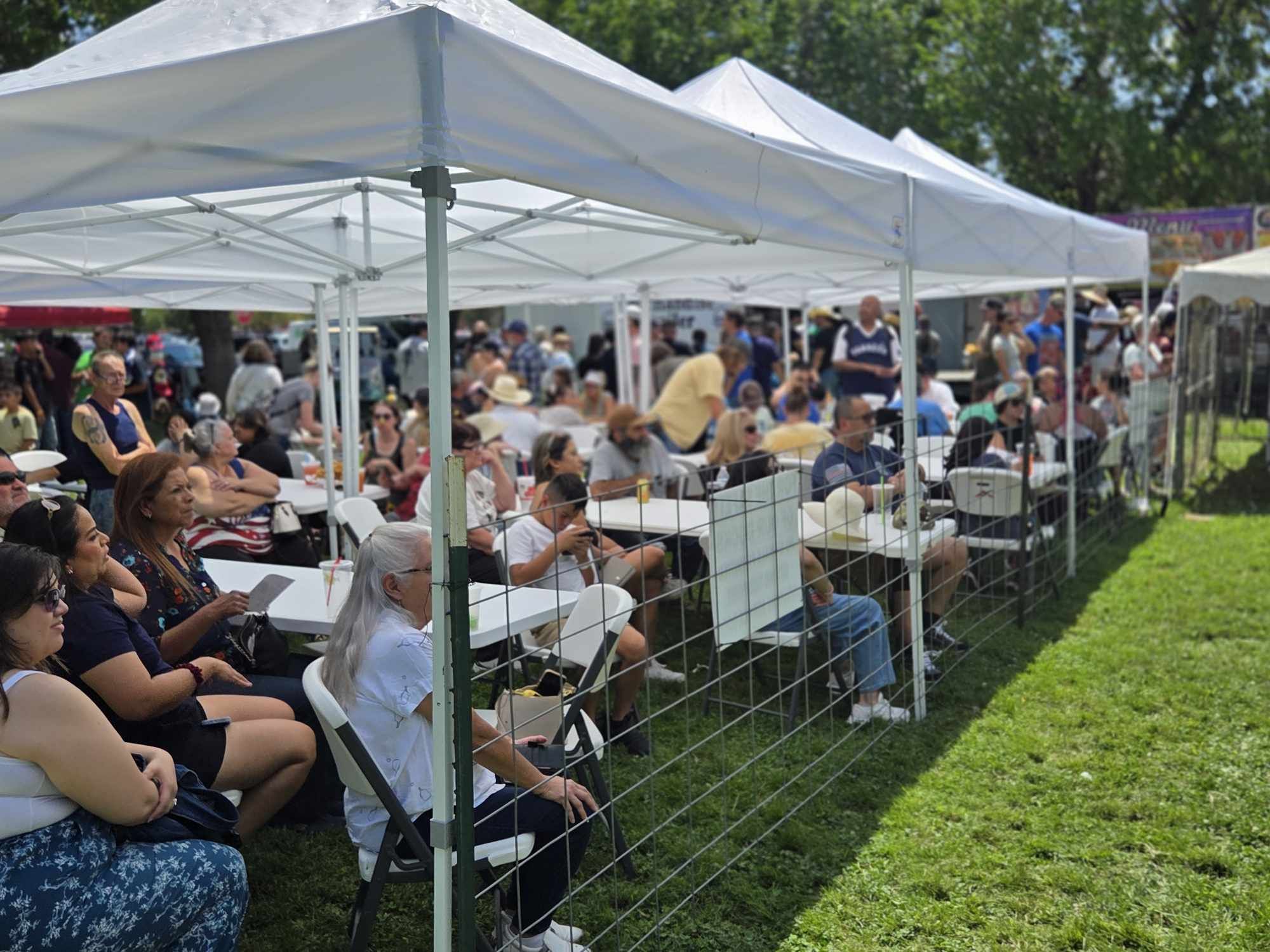 Vendors Wanted for 47th Annual Great American Duck Races Set for August ...