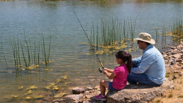 Fishing at Deming's Tree's Lake